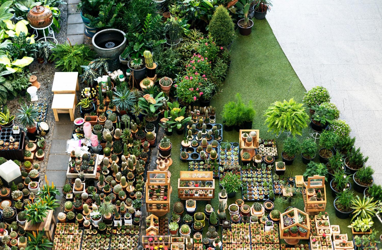 Inspiring Garden Layouts for Every Space